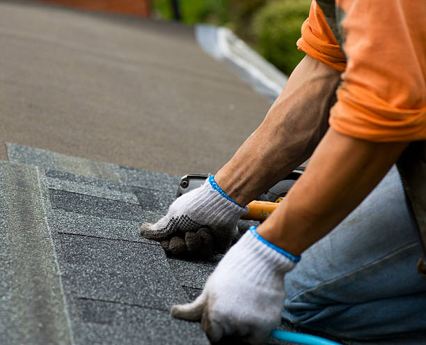 Best Roof Repair Services  in West Mountain, UT