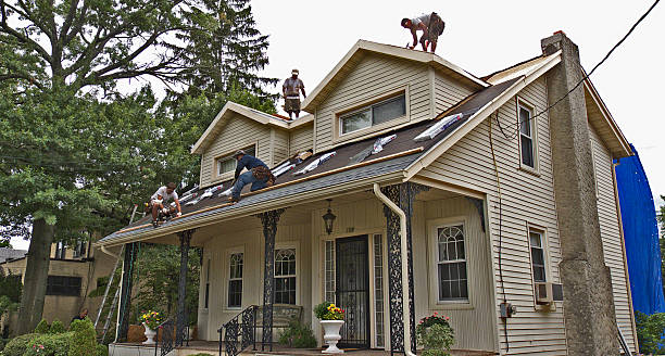 Best Roof Gutter Cleaning  in West Mountain, UT